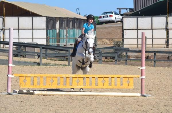 Tinkerbelle enjoying a show jumping session with her 10 year old rider.