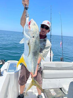 Jack crevalle