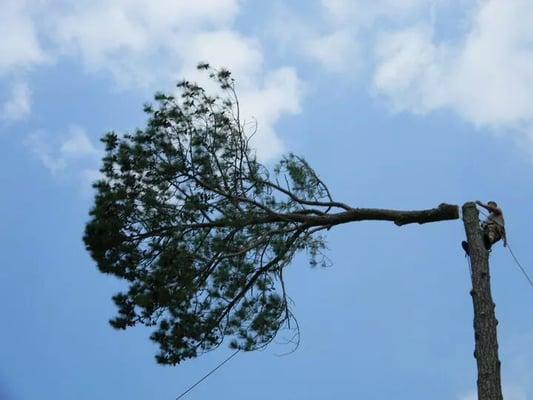 Gillin Tree Service