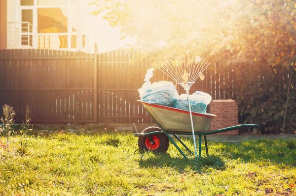 Yard Cleanups