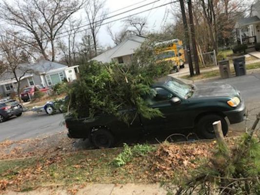 Yard debris clean up