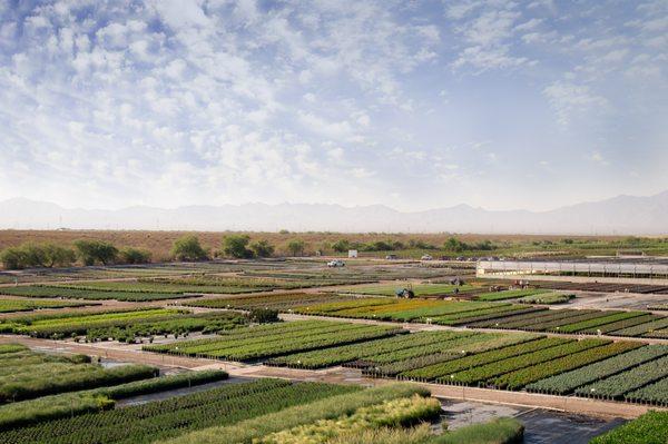 Aerial view of our 70-acre farm.