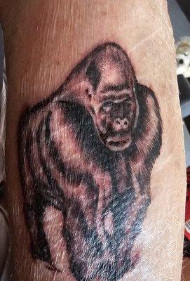 Joseph did an awesome job on my husband's silverback. I wish we had found him before we had the maltese done!