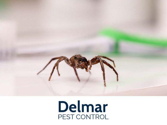 Delmar Pest Control