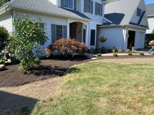 Maplewood Tree Care & Landscape