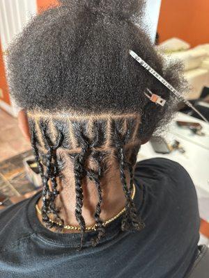 2 strand  twist styles