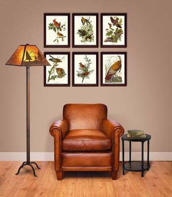 Audubon Bird Prints