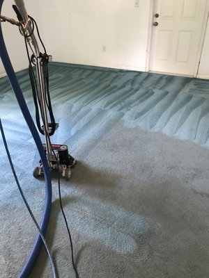 Carpet deep and steam cleaning with rotovac