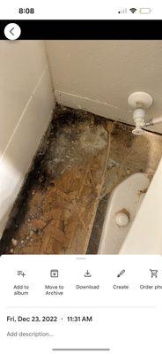 Moldy bathroom floor that took weeks to be taken seriously. This was after they "remediated" it. Oh ya looks real clean