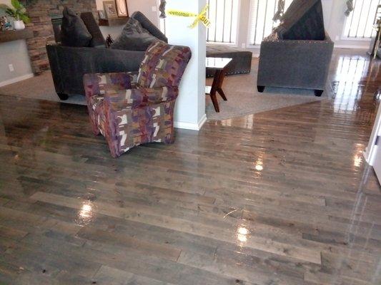 The wood floors turned out unbelievably shiny!