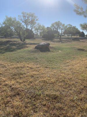 Prairie dog enclosure at Kiwanis Park in Wichita Falls, Texas.