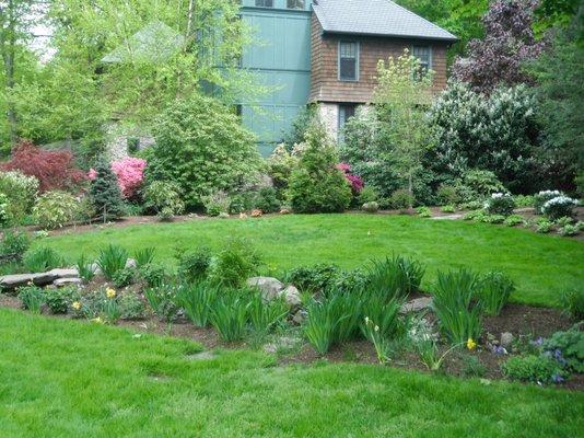 Wetland Garden