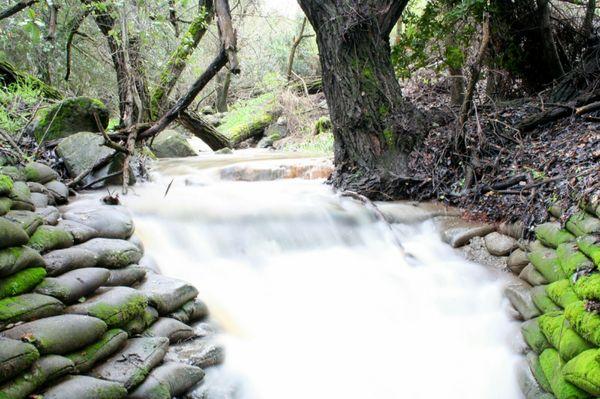 Secret Almaden Valley Creek pt2