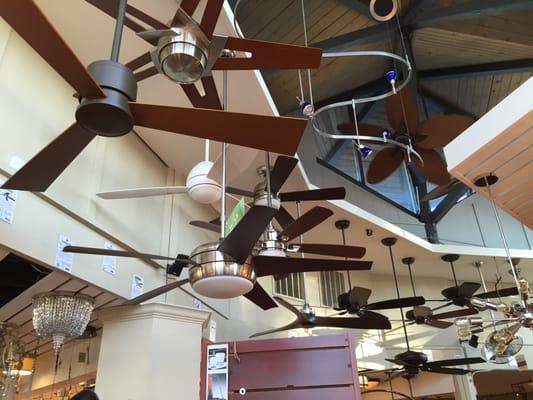 Some contemporary ceiling fan options.  Over 30 to choose from!