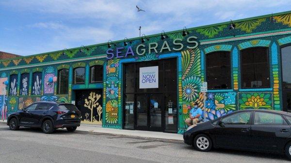 Seagrass