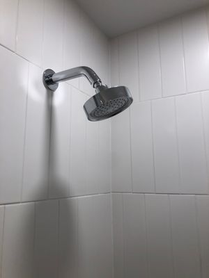 Old Shower Head Leaking