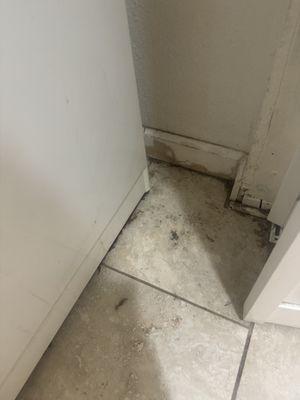 Laundry room floor not cleaned