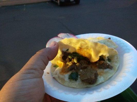 Asada mulita! Two 4" tortillas, melted mozzarella cheese, and your choice of meat, sauce, onions, cilantro. Duuude...