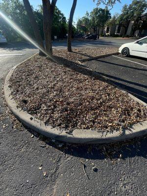 Mulched leaves blown on rock landscaping.