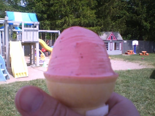 Strawberry & Slides