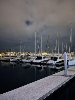 Dock walkway