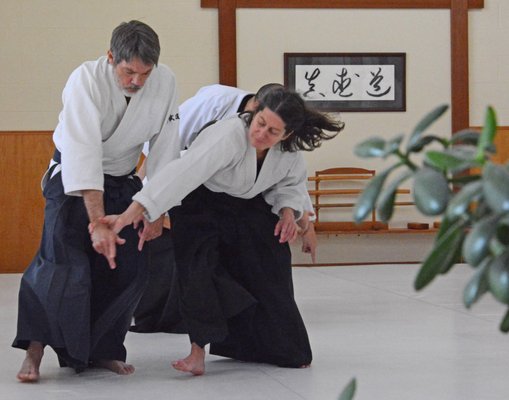 Albuquerque Shin-Budo Kai Aikido