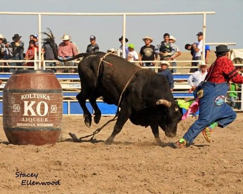 Koltiska is a big supporter of the Wyo Rodeo!