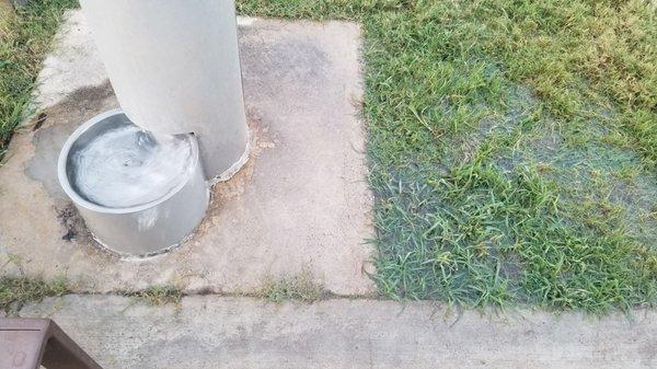 Overflowing water from dog park fountain has been like this for 2 days flooding the area and wasting water