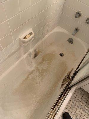 Before- Dirty tub w/shower door in the way to get a deep deep clean.