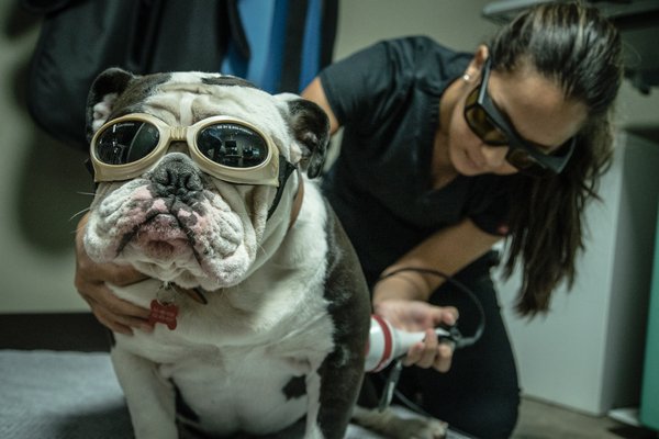 Laser Therapy