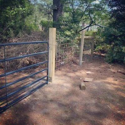 Installed 2 ten foot gates and 500 feet of livestock fencing