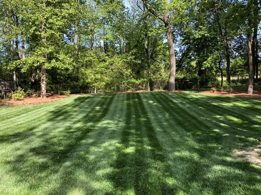 Yard we maintain in Oak Ridge, NC.