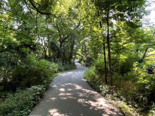 A Section of the Wooded, Creekside Bike/Hike Trail