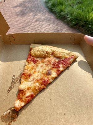 Plain pizza