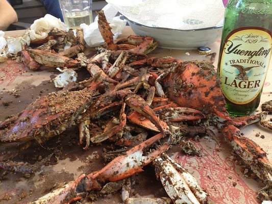 Mmmm delicious fat crabs, perfectly seasoned, great size, & priced great!