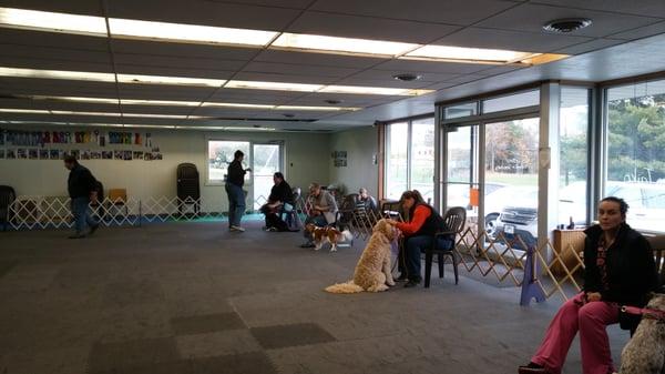 Therapy Dog & Handler Class, front room (30x45 ft ring in a 40x60 ft room).