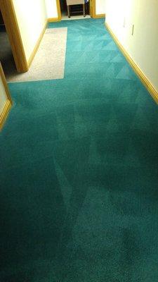 Professional carpet cleaning at a local company - customer was very happy with the results. We were, too!