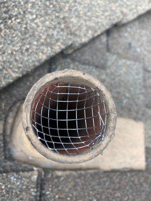 Rat Exclusion, sealing off vent from rats getting in the plumbing.