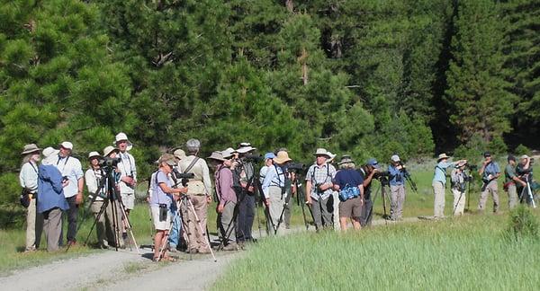 A local class is an excellent choice for Bay Area residents interested in learning more about natural history. Contact us!