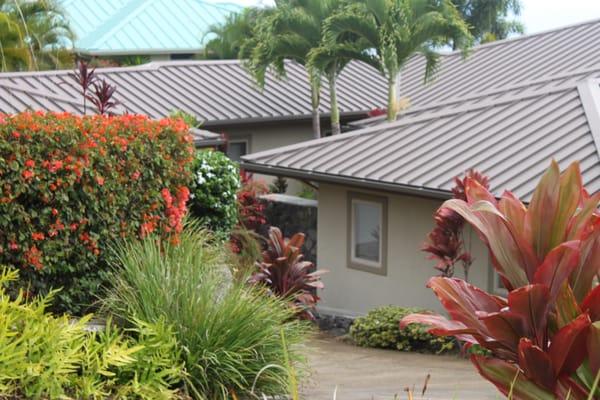 Lush landscaping at entryway in high end custom home built by Kailua Kona, Big Island contractor General Construction Pacific