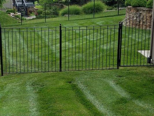 Cutting Green Lawn Care