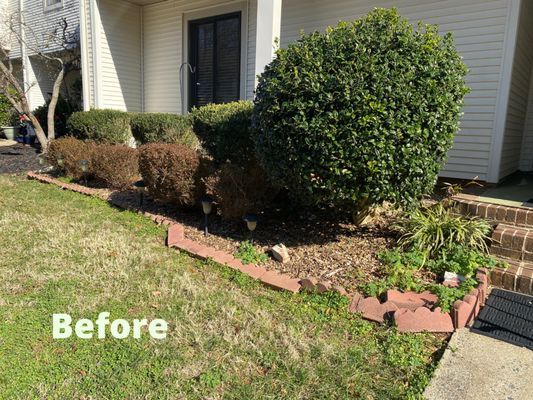 Mulching and cleanup service before.