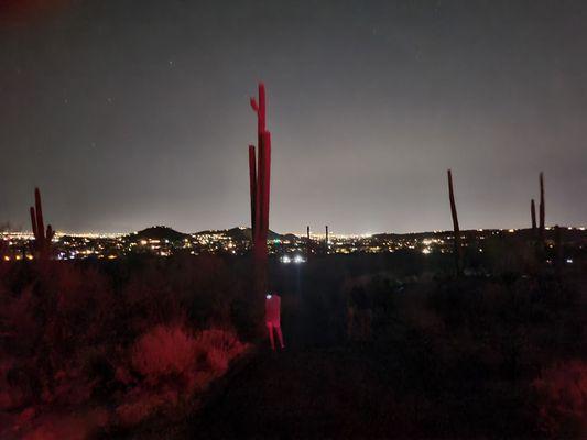 Another view of the Tucson city lights from Sabino Canyon! Pictures don't do it justice.