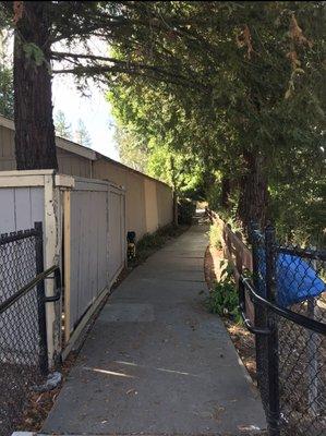 the walkway on the guerneville rd. side of the apt complex, on the way to the SMART train station. you can see where the fence was kicked in