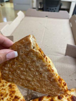 Cheese pizza with piece of hair sticking out.