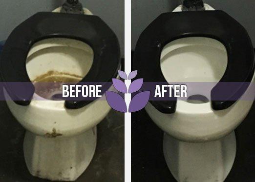 Got nasty toilets? Let Lavender get them clean!