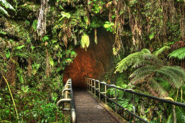 Thurston Lava Tube - Hawaii Volcanoes National Park