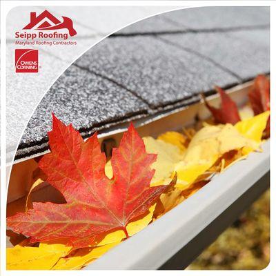 Trim Back Your Trees. Clean Your Gutters. Install Gutter Guards. Get A Pre-Winter Roof Inspection. Invest In Roof Repairs As Needed.