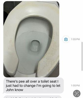 Toilet seat urine stains and peeling.