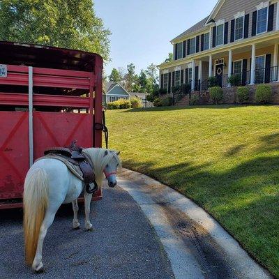 Flat Creek Farm